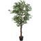 vidaXL Albero di Ficus Artificiale 756 Foglie 150 cm Verde