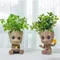 Groot Vasi da fiori Vasi da giardino per la casa Fioriere Ufficio Desktop Decor Ornamento Mini Tree