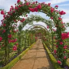 Arco da giardino in metallo resistente Arco di rose Pergola Arbarore Piante rampicanti Traliccio Supporto per per pergola da giardino esterno