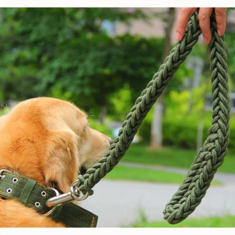 Nylon-Hundegeschirr-Leine für mittelgroße und große Hunde, Haustiertraining, Laufen, Gehen, Sicherheit, Bergsteigen, Hundeleinen, Seile Image