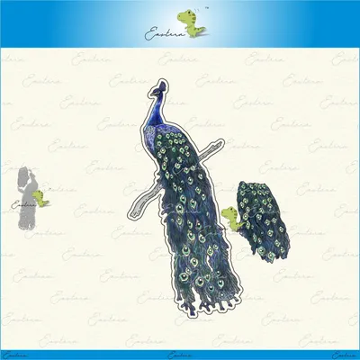 peacock metal cutting dies 2020 new diy mould Scrapbooking Paper Making Embossing tools die cuts crafts dies