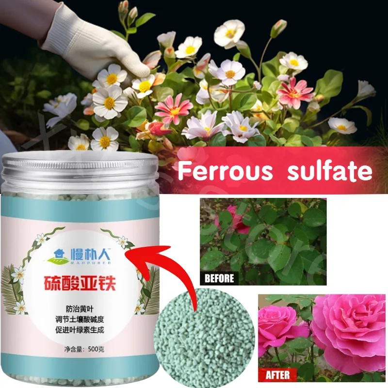500 g Fehlsülfat-Blumendünger, Bodenverbesserung, Säure, Rose, Rose, Kamelie, grüne Lorbeer, Orchidee, gelber Blattdünger