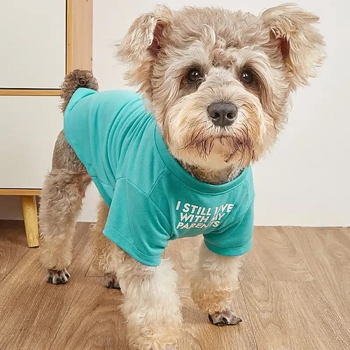 Hund Katze Hemd / T-Shirt Mode Lässig Winter Atmungsaktiv Weich Waschbar Bequem Outdoor Alltagstauglich Hundebekleidung for Bichon Frise Zwergspitz Baby Haustier Papillon Klein Image