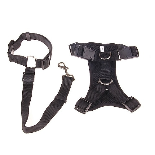 Hunde Katzen Geschirre Leinen Einstellbar Tragbar Langlebig Outdoor Gehen Farbblock Image