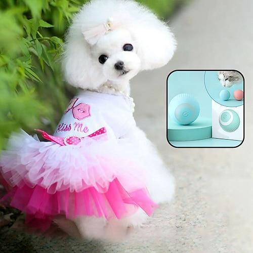 Sommer-Hundekleidung mit elektrischem Spielzeug Prinzessinnenkleid Teddybären Zweibeiner Kleidung Netzspitze Hasenrock