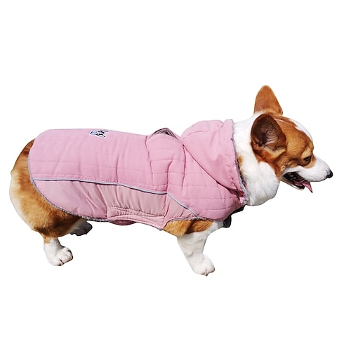 Hund Katze Mäntel Jacke Niedlich Lässig Winter Warm Atmungsaktiv Weich Waschbar Bequem Outdoor Alltagstauglich Hundebekleidung for Bichon Frise Zwergspitz Baby Haustier Papillon Klein Image