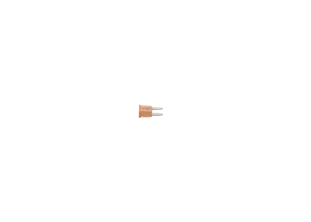 BOSCH Sicherung 1 987 529 028 Image