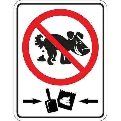 Weißblech schild bitte beachten Sie kein Hundekot keine Haustiere erlaubt kein Hund gehen keine Image