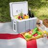 Kühlbox mi Rollen für Auto & Camping Warm-Kalt 50L a++ grau - Woltu