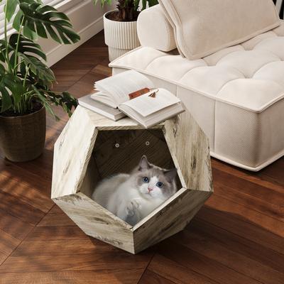 Multifunction 25.98" Modern Pentagon Cat Kennel Side Table