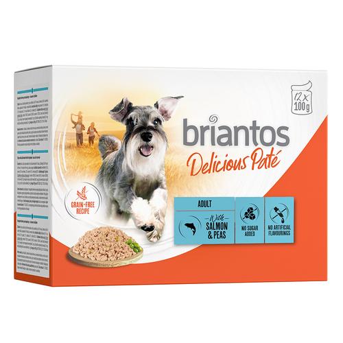 Sparpaket Briantos Delicious Paté 48 x 100 g - Lachs