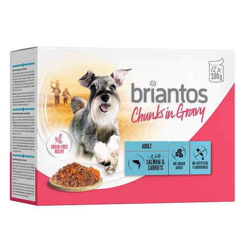 Sparpaket Briantos Chunks in Gravy 48 x 100 g - Lachs & Karotten