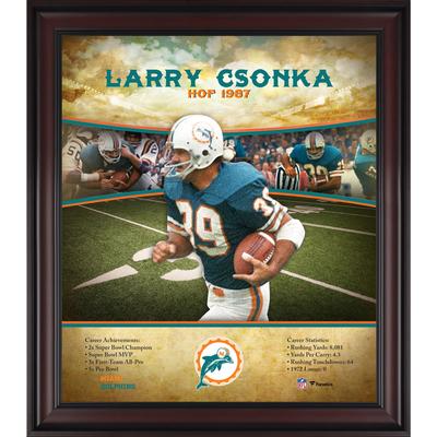 Larry Csonka Miami Dolphins Hall of Fame Karriereprofil, gerahmt, 15 x 17 Zoll Image