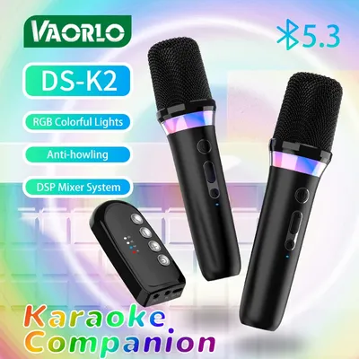 DS-K2 Karaoke Companion Bluetooth 5.3 Wireless Dynamic Microphones RGB Colorful Light Stereo DSP