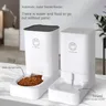 Alimentatori automatici per animali domestici e alimentatori automatici Dispenser automatico di