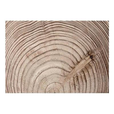 Surface Texture Wallpaper Wall Mural - Wood Grain