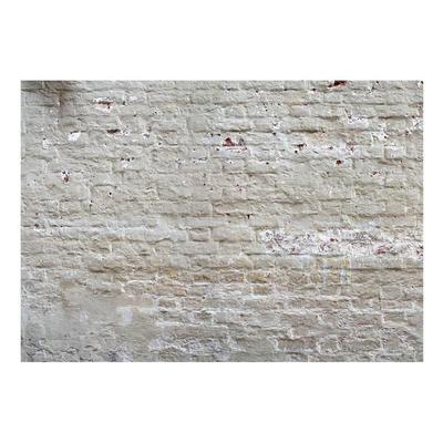 Surface Texture Wallpaper Wall Mural - Beige Weathered Brick Wall