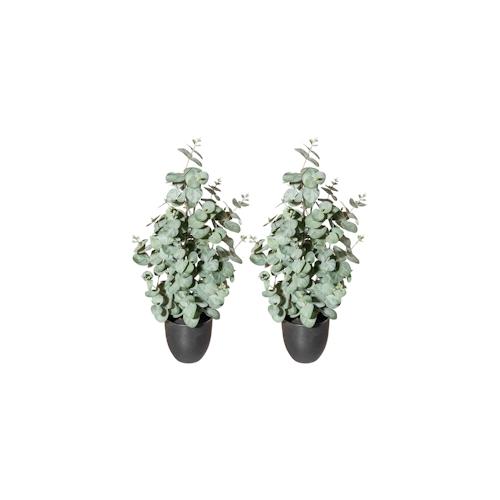 CREATIV green künstliche Pflanze Eukalyptus, ca 60cm, 2er Set