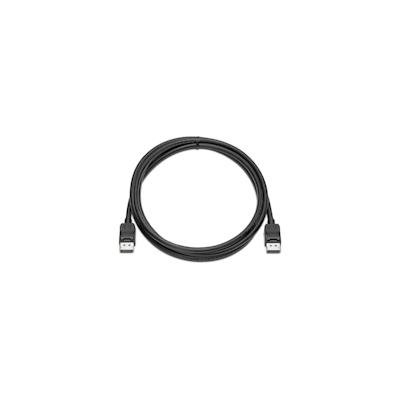 HP DisplayPort Kabel Kit 2m schwarz (VN567AA)