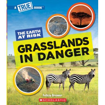 A True Book: The Earth at Risk: Grasslands in Danger (paperback) - by Felicia Brower