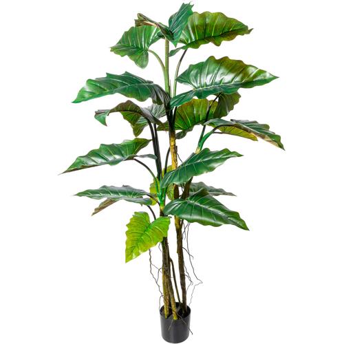 "Kunstbaum CREATIV GREEN ""Colocasia"" Kunstpflanzen Gr. Ø/H: 95 cm x 180 cm, 1 St., grün Kunst-Bäume"