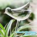 NEWCE Watering Aqua Globes Plant Automatic Watering Bulbs Bird Glass Automatic Plant Waterer HaBlown Clear Glass (6Pcs)