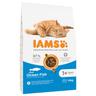 10kg Adult Cat with Sea Fish IAMS Advanced Nutrition Dry Cat Food