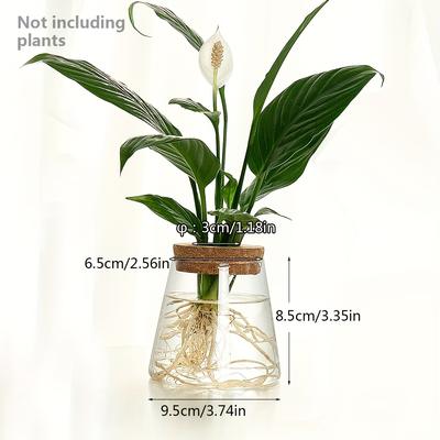 TEMU 1pc, Hydroponic Glass Vase Plant Pot Cactus Plant Pot Flower Pot Container Planter With Drainage Hole Home Office Desk Garden Gift Idea, Home Decoration, Garden Decoration Image