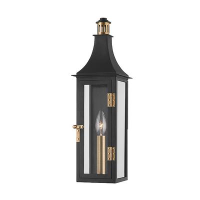 Corinne Indoor/Outdoor Wall Sconce - 18