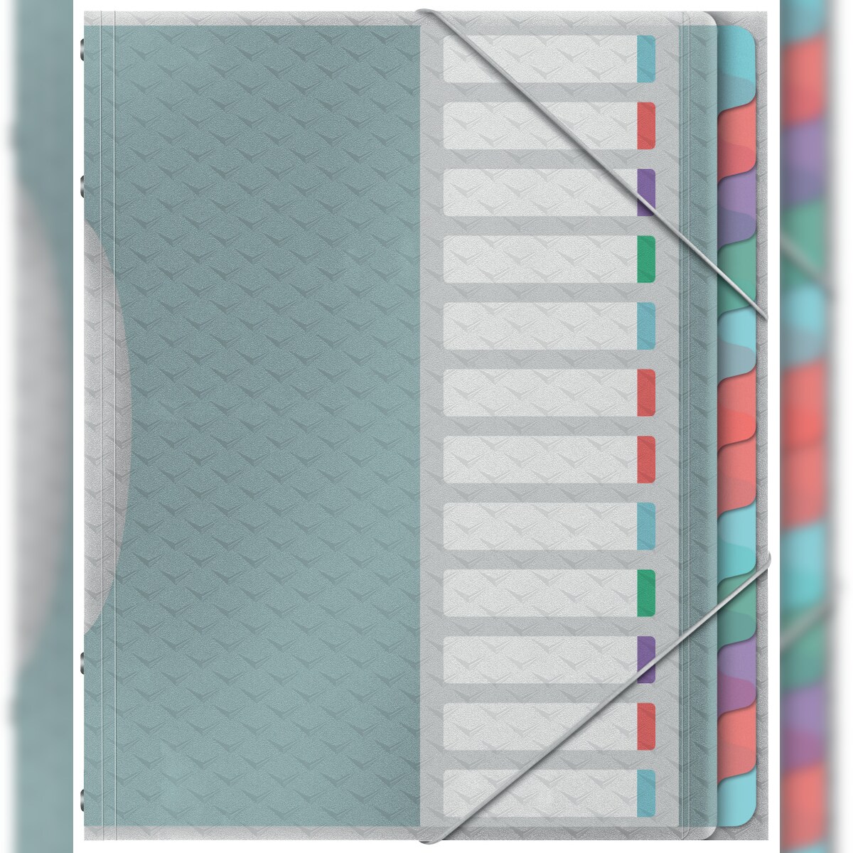 Esselte Ordnungsmappe Colour'Ice A4 PP 12 Fächer farbig Image