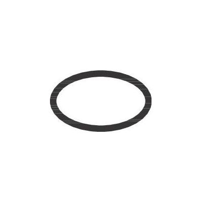 Hansgrohe O-Ring 16x2mm , 98133000 98133000 Image