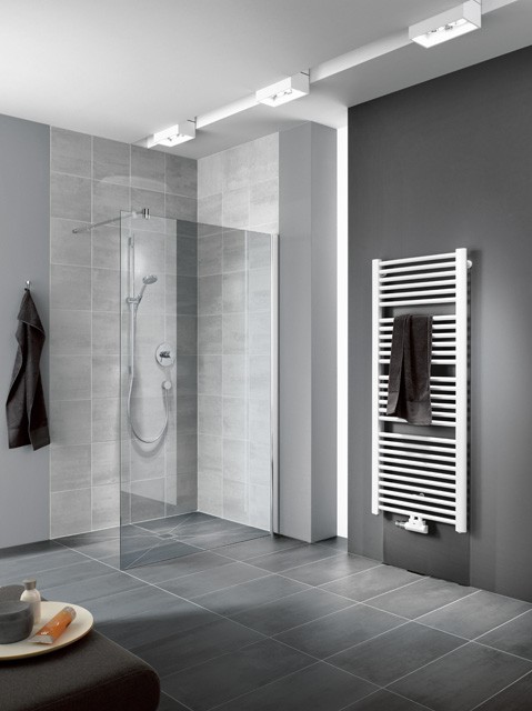 Kermi Walk-In Pasa XP TWF 0750x1850, silber mattglanz, ESG Opaco, PXTWF075181UK PXTWF075181UK Image