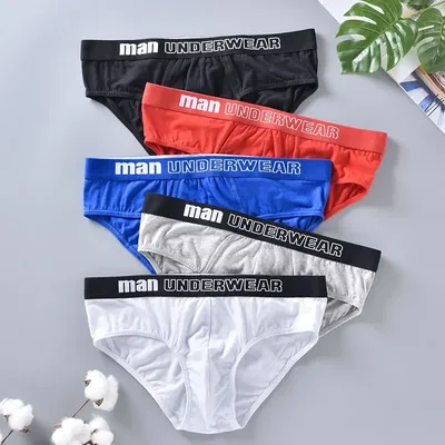 5Pcs Schlüpfer der Männer Sexy Baumwolle Unterwäsche Männliche Schriftsätze Männer Suspensorium Hose Image