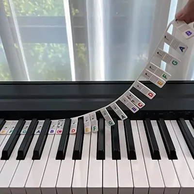 Miwayer Piano Keyboard Stickers for 88/61 Key,Removable Piano Keyboard Note Labels for Learning