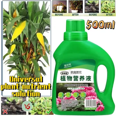 Hydroponic Plant Nutrient Solution Fertilizer Bamboo Flower Fertilizer Potted Green Concentrated