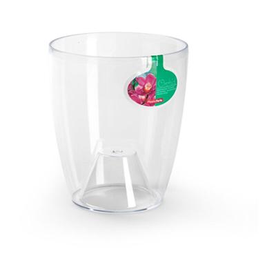 Vase orchidee transparent