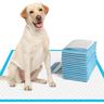 Dog Mat,Pet Urine Pad Diaper Dog Urine Pad Diaper Thickened Diaper Deodorant Cat Pet Training Toilet SuppliesPet Mat