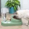 Haustier Katze Schüssel Automatische Feeder Wasser Dispenser Katze Schüssel Edelstahl Haustier Schüssel Feeder Schützt Halswirbel Gegen