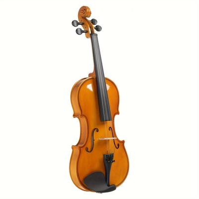 TEMU 4/4 Set For Adults , Bow, Shoulder , Rosin, Strings And Sordine