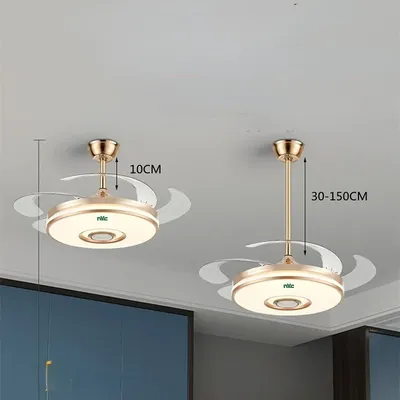 Ceiling+Fans