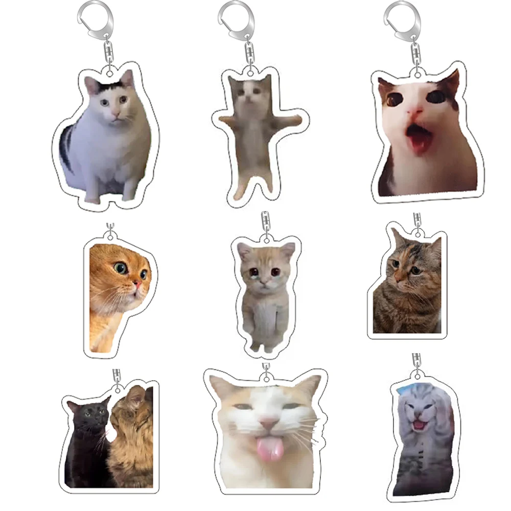 Lustige Katze Memes Serie Schlüsselanhänger Student Geschenktüte Lanyard Damen Taschenanhänger Schlüsselanhänger Niedliche Dinge Günstiges Geschenk für beste Freunde Image