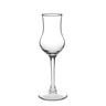 48x Grappakelch Pasabahce Grappa Glas 96 ml