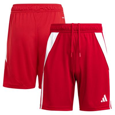 adidas Tiro 24 Trainingsshorts - Rot - Kinder Image