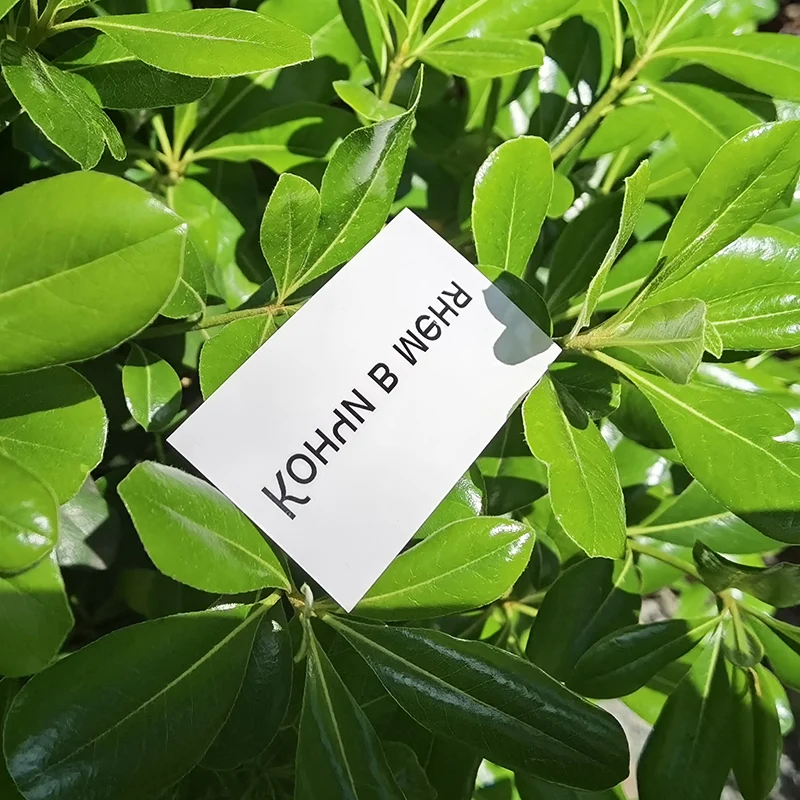 Russische temporäre Tattoo-Aufkleber. Gefälschte temporäre Tätowierung für Erwachsene Image