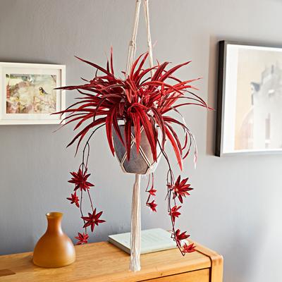 Makramee-Blumenampel mit Ziergras Eldo Image