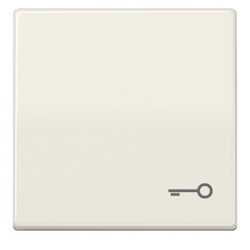 Jung Wippe Symbol TÜR ws AS 591 T AS591T Image