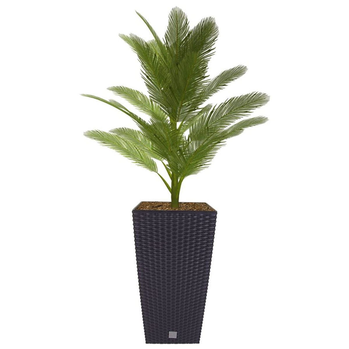 BURI Polyrattan Pflanztopf mit Einsatz 50,5cm anthrazit Blumentopf Pflanztopf Kübel Anthrazit 50,5 Image