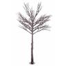 Albero Vienna H230 Nero