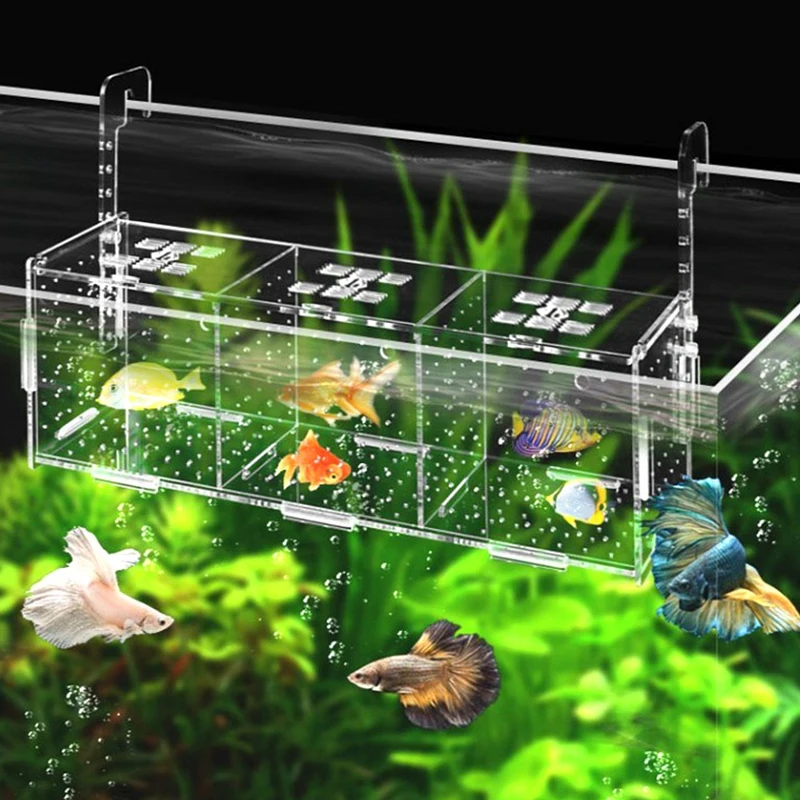 Aquarium Isolation Box Acryl Fisch Züchter Box Zucht Isolation Box Fisch Brüterei Teiler Aquarium Zubehör Fisch Liefert Image