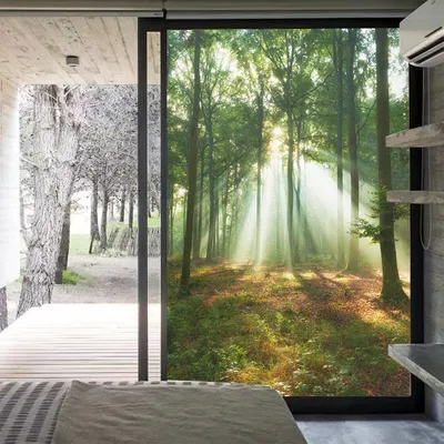 Sichtschutz-Fensterfolie, Anti-UV-Glasfenster, mattierter Aufkleber, Morgenlicht, Waldmuster, Image